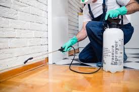 Best Fumigation Services  in Seacliff, CA